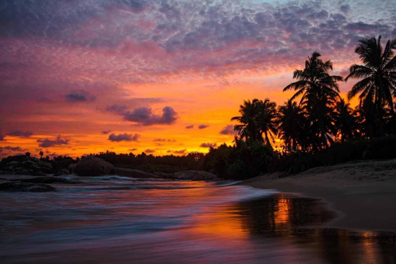 Sarada Beach Resort Yala ทิซซามาฮารามา ภายนอก รูปภาพ