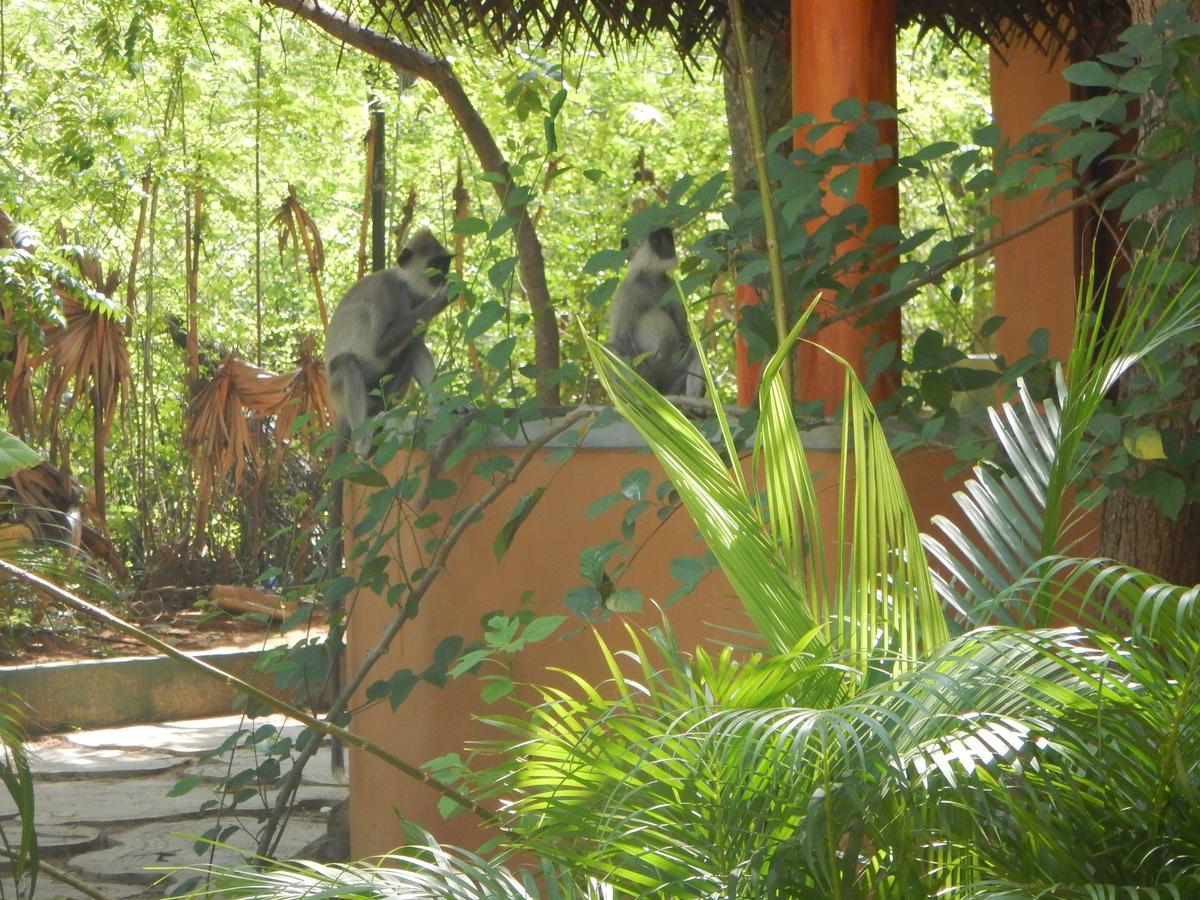 Sarada Beach Resort Yala ทิซซามาฮารามา ภายนอก รูปภาพ